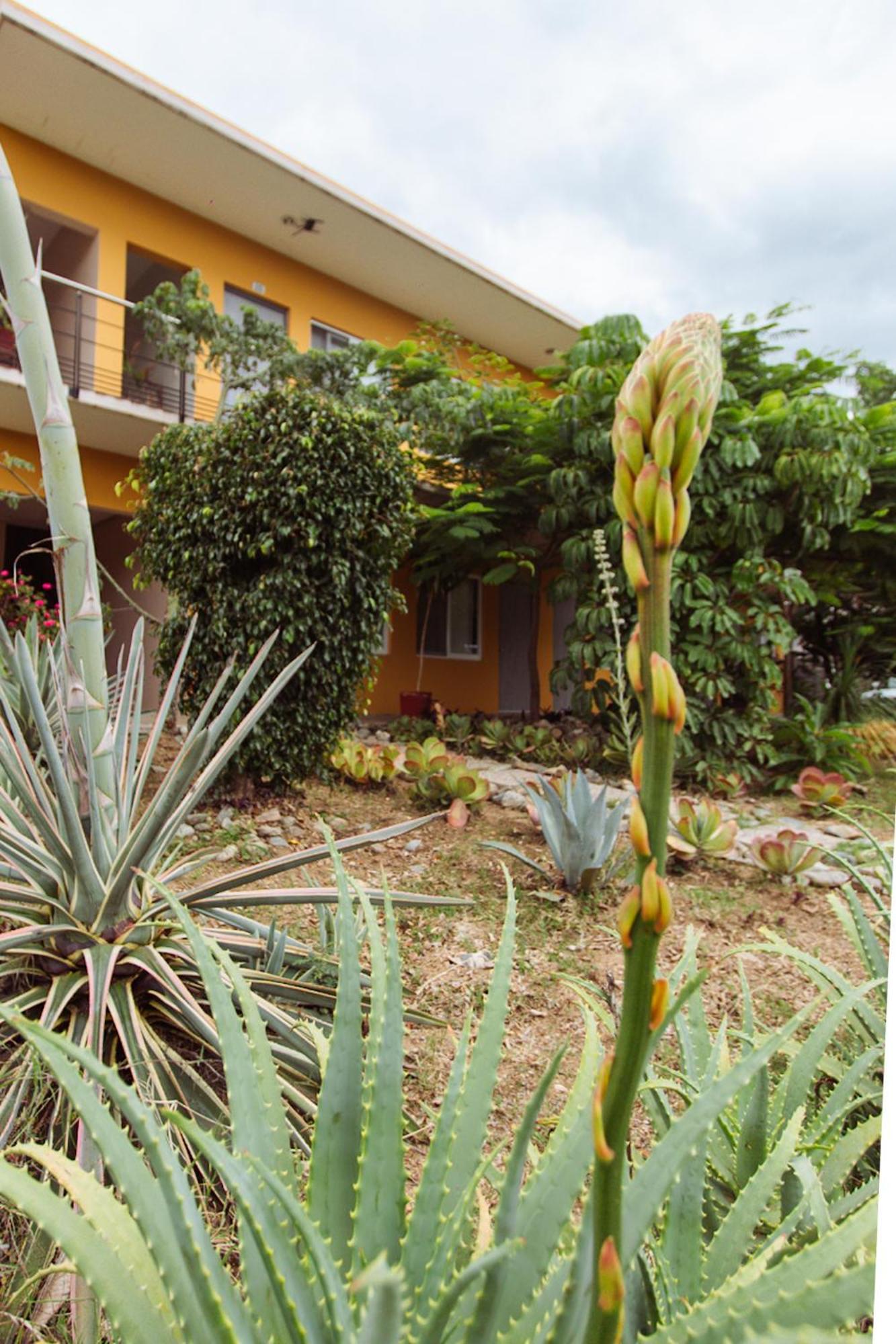 Hotel Guiva San Pablo Hacienda Blanca ภายนอก รูปภาพ